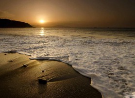 Integer placerat magna