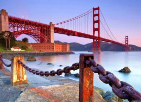 Morbi bibendum enim in