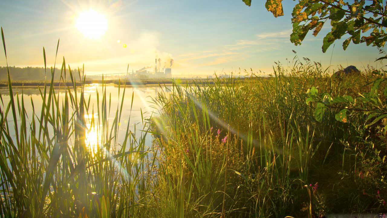 Nam aliquam suscipit purus